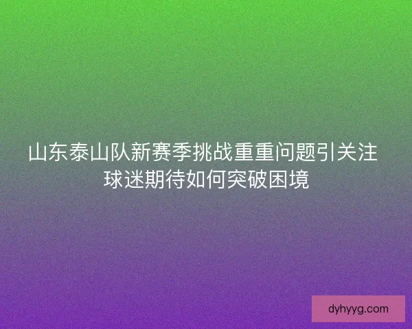山东泰山队新赛季挑战重重问题引关注 球迷期待如何突破困境
