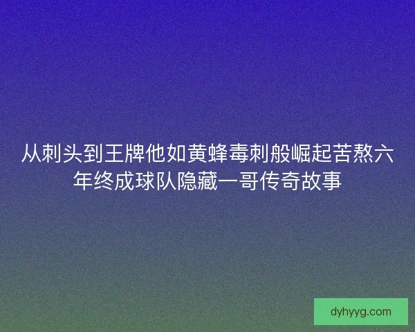 从刺头到王牌他如黄蜂毒刺般崛起苦熬六年终成球队隐藏一哥传奇故事